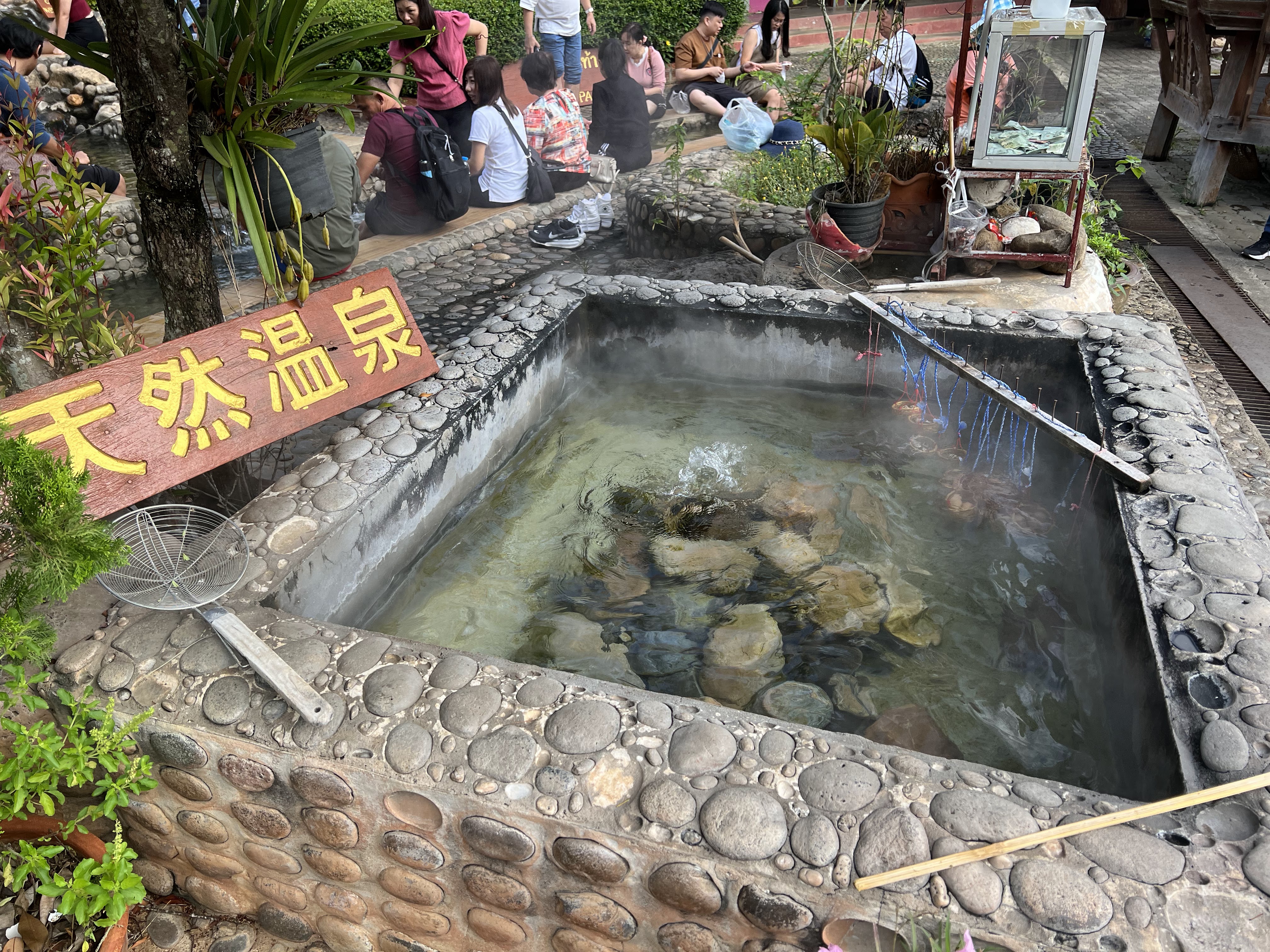 照片
